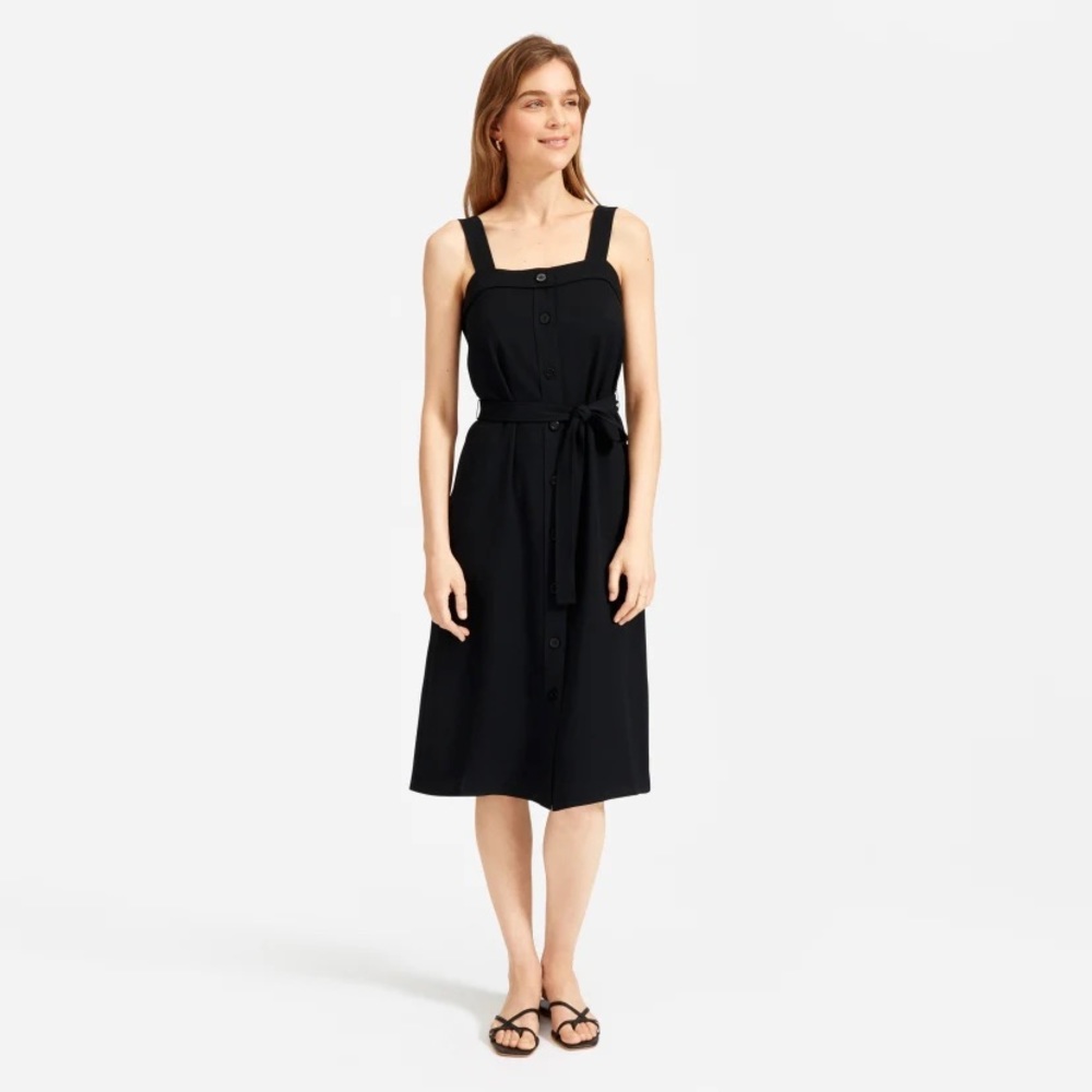 Everlane Japenese GoWeave Picnic Dress